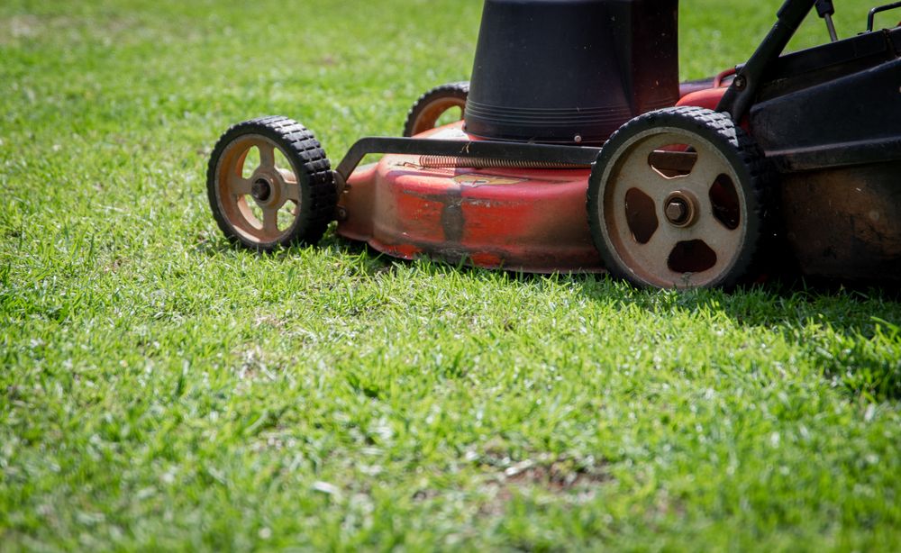 A healthy, green, treated lawn