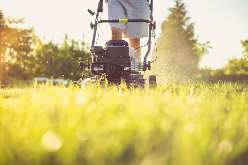 Emerald Lawns recent work
